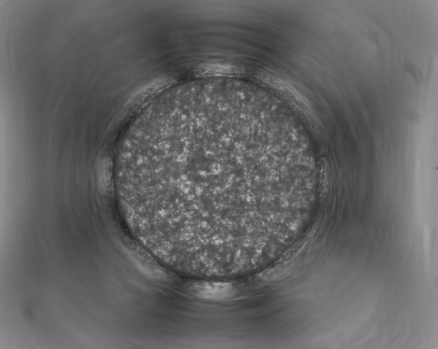 X0000111470361200908241347