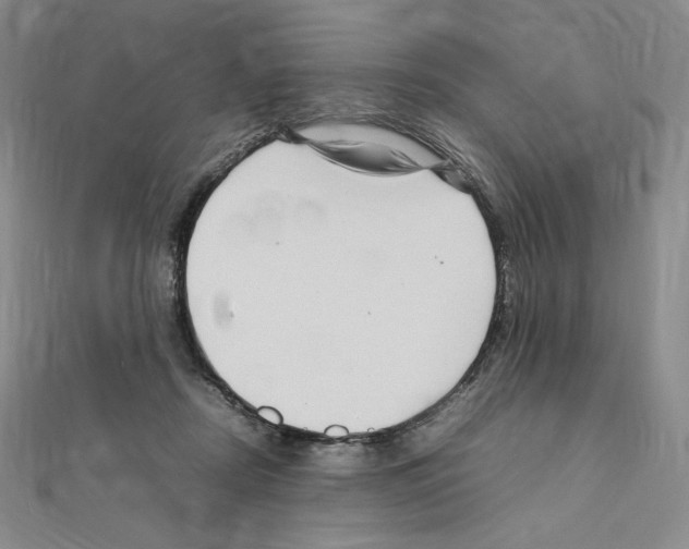 X0000111470362200908241347