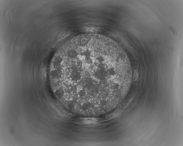 X0000111470363200908241347