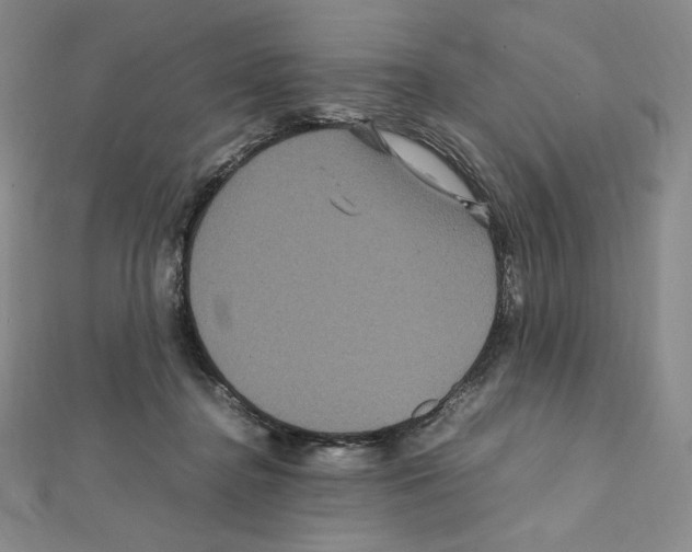 X0000111470364200908241347