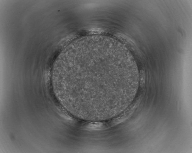 X0000111470369200908241347