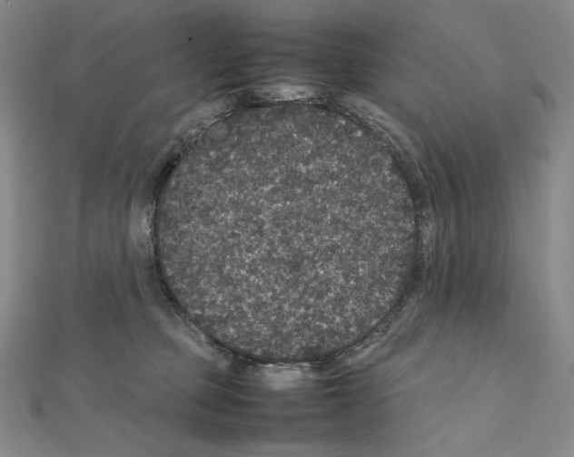 X0000111470373200908241347