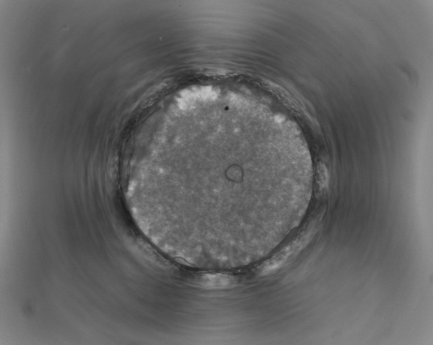 X0000111470376200908241347