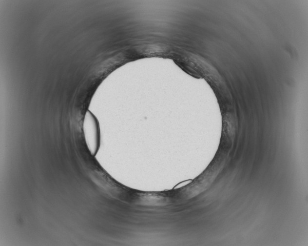 X0000111470380200908241347