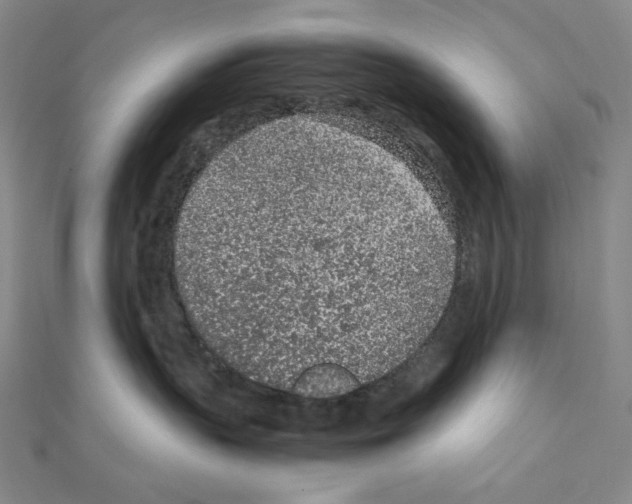 X0000111470383200908241347