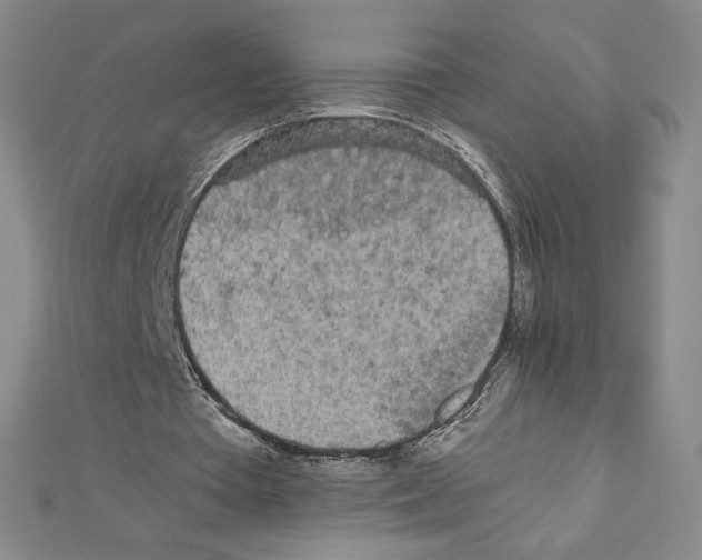 X0000111470385200908241346