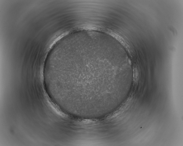 X0000111470390200908241346