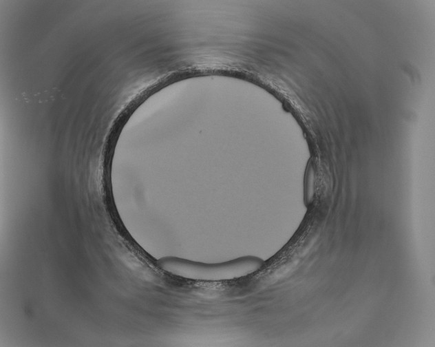 X0000111470391200908241346