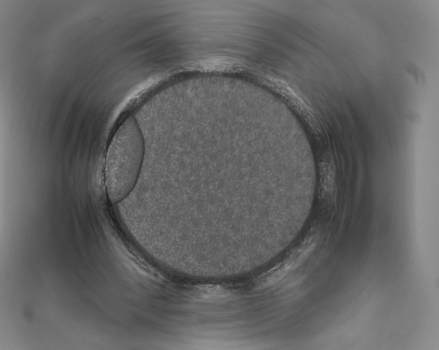 X0000111470392200908241346