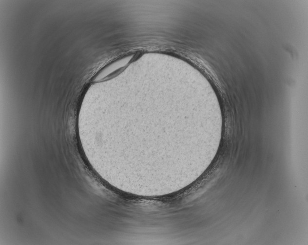 X0000111470393200908241346