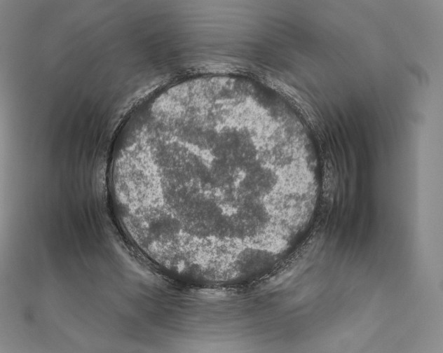 X0000111470394200908241346