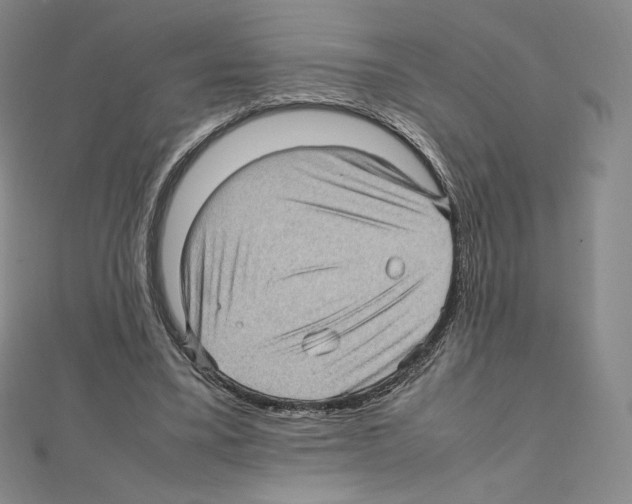 X0000111470395200908241346