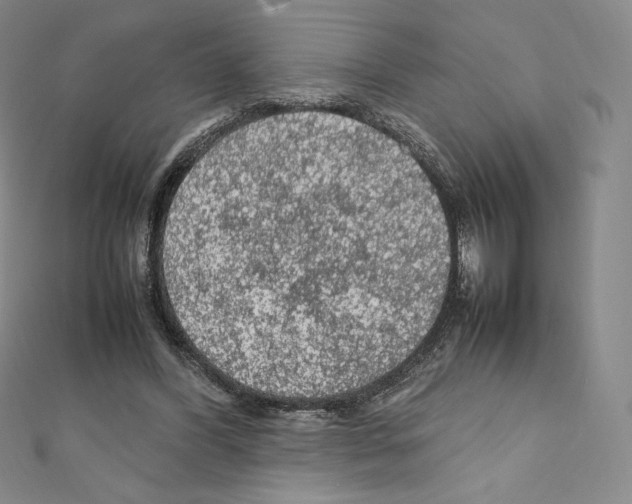 X0000111470396200908241346