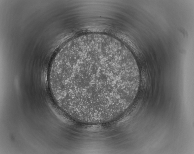 X0000111470398200908241346