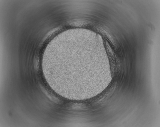 X0000111470400200908241346