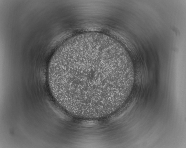 X0000111470402200908241346