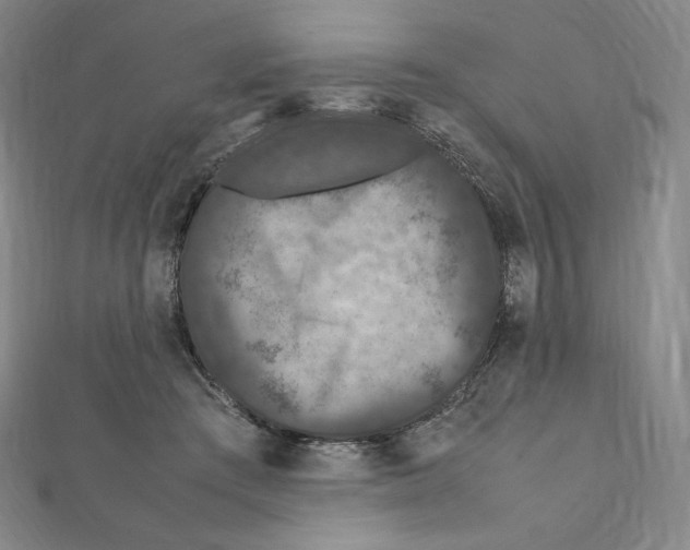 X0000111470409200908241346