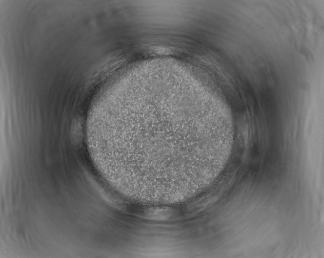 X0000111470410200908241346