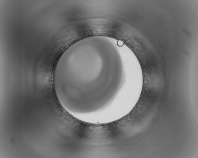 X0000111470419200908241346