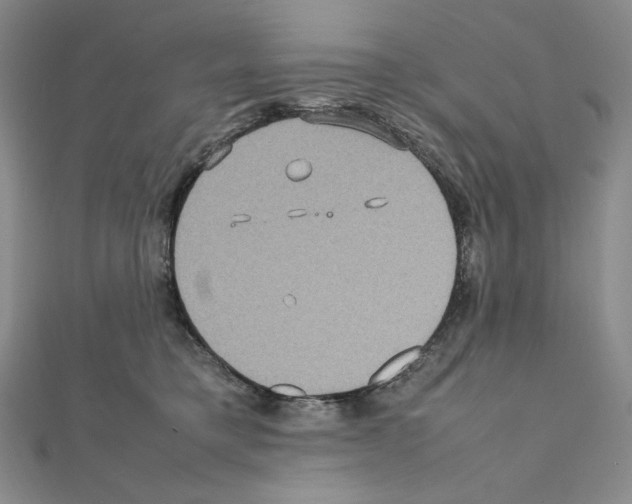 X0000111470421200908241346