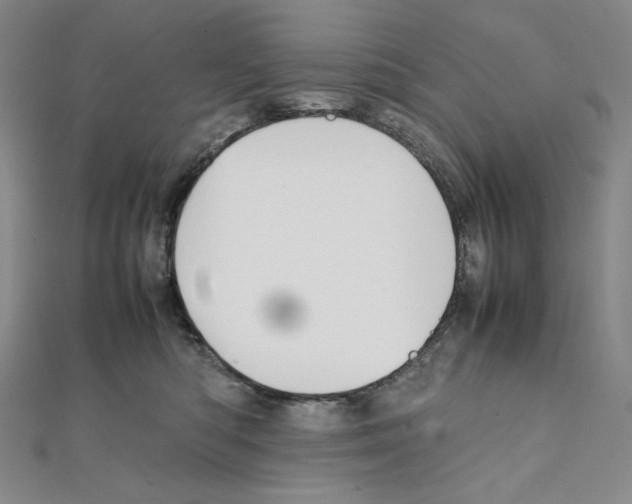 X0000111470422200908241346