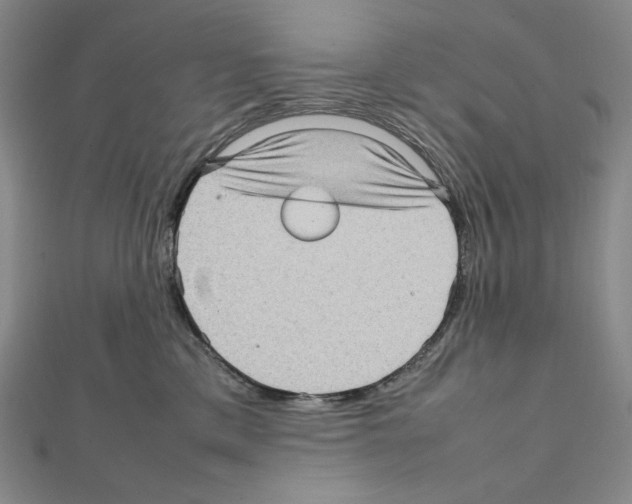 X0000111470425200908241346