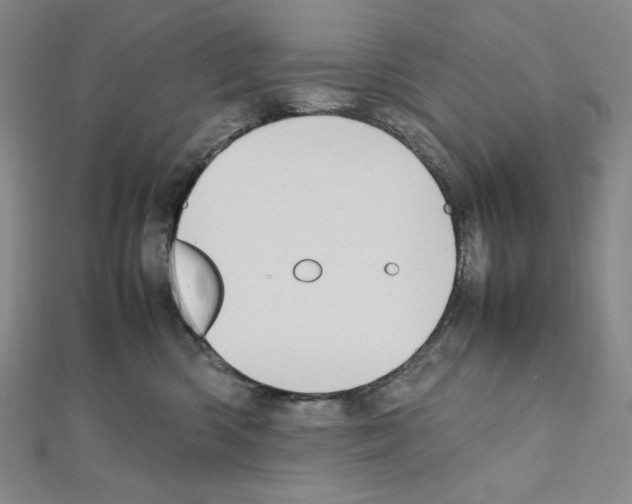 X0000111470426200908241346