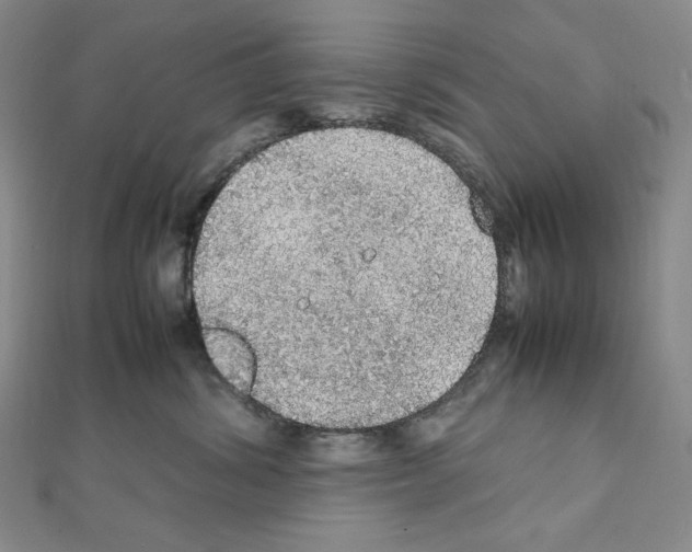 X0000111470428200908241346