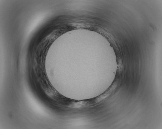 X0000111470430200908241346