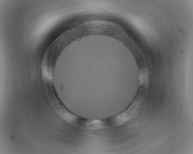 X0000111470431200908241346