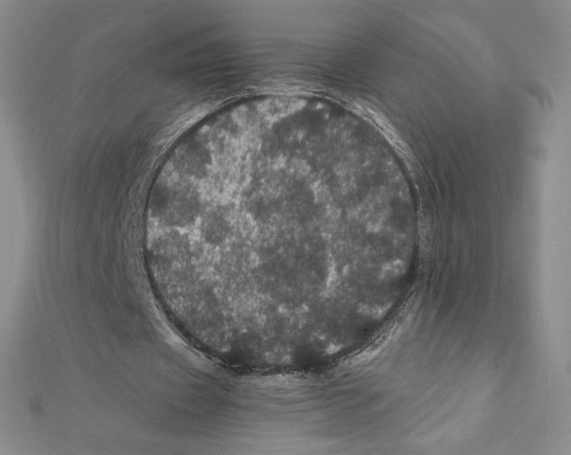 X0000111470433200908241345