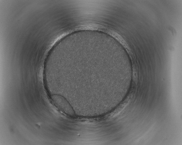 X0000111470434200908241345