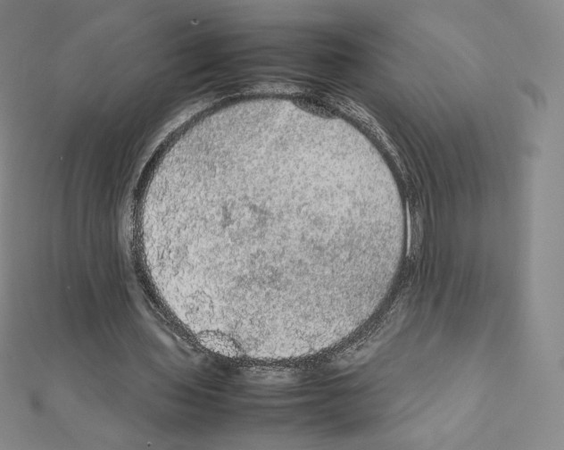 X0000111470435200908241345