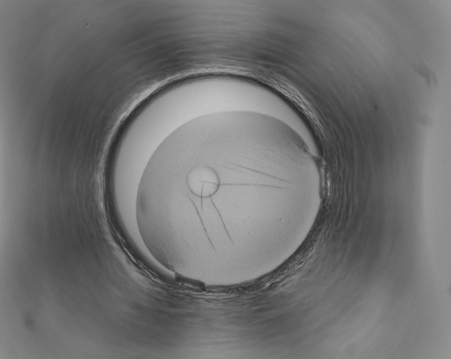 X0000111470436200908241345