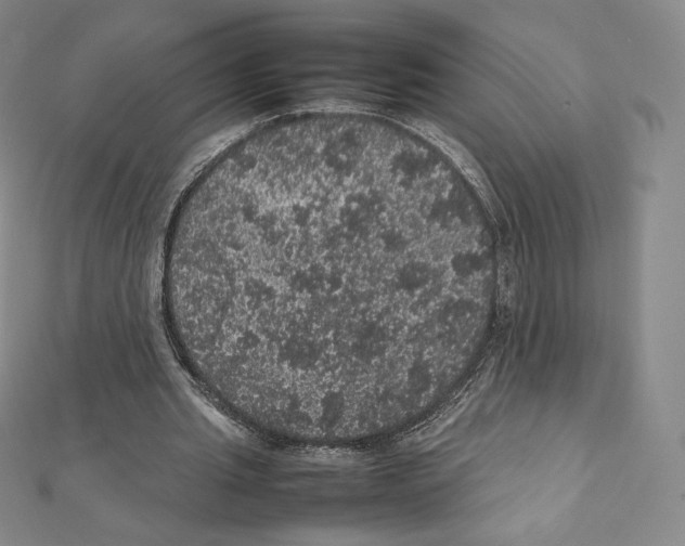 X0000111470437200908241345