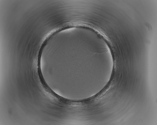 X0000111470438200908241345