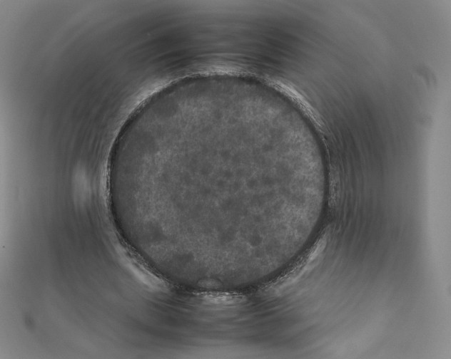 X0000111470439200908241345