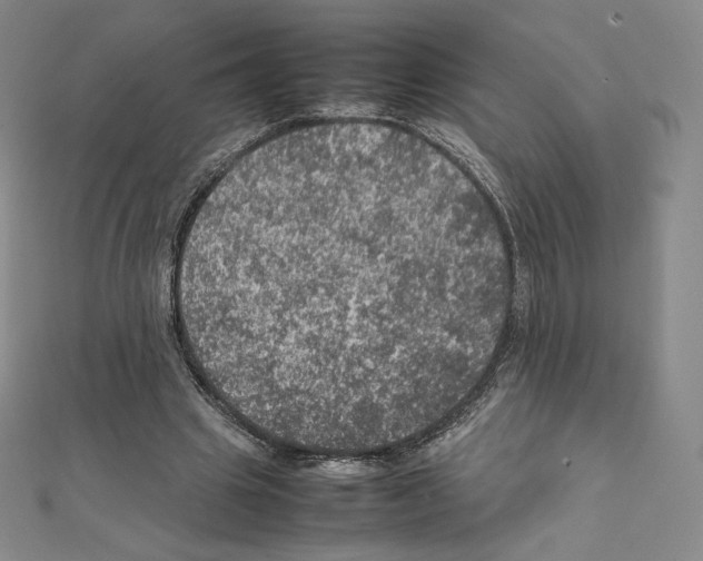 X0000111470441200908241345