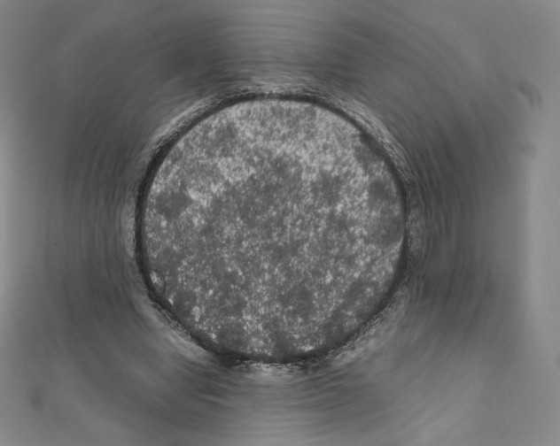 X0000111470442200908241345