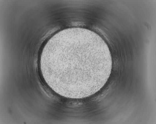 X0000111470443200908241345