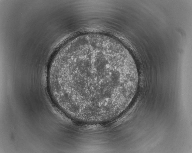 X0000111470446200908241345