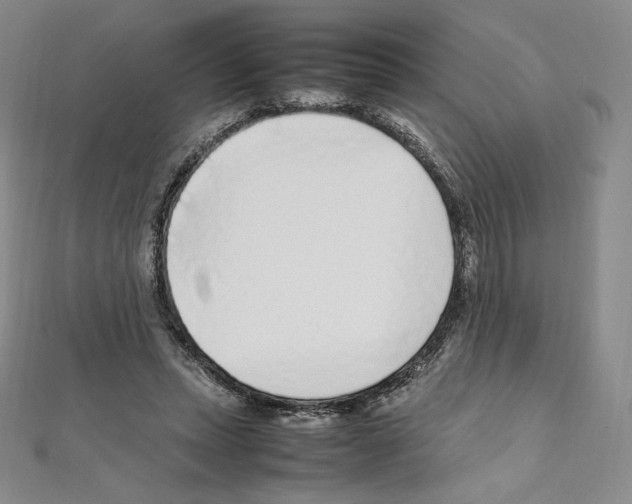 X0000111470447200908241345