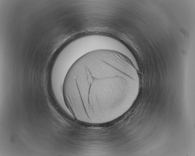 X0000111470448200908241345