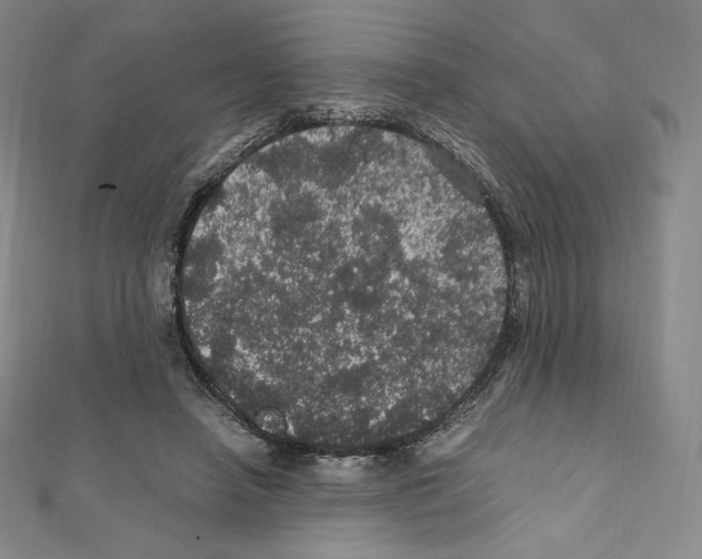 X0000111470450200908241345