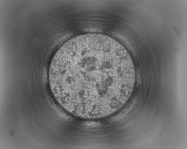 X0000111470453200908241345