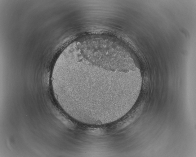 X0000111470454200908241345