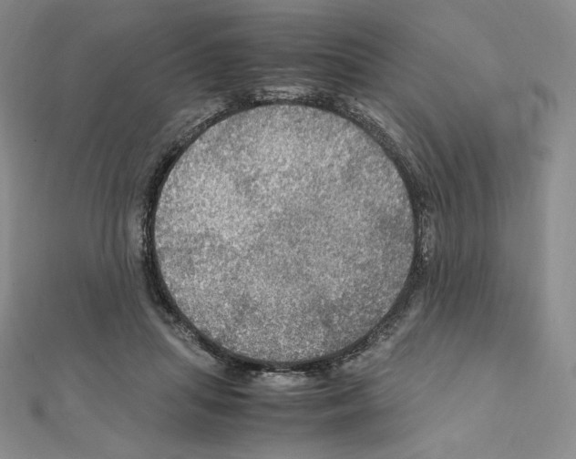 X0000111470455200908241345