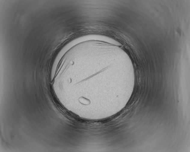 X0000111470456200908241345