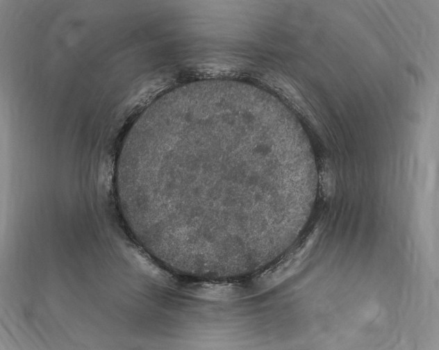 X0000111470458200908241345