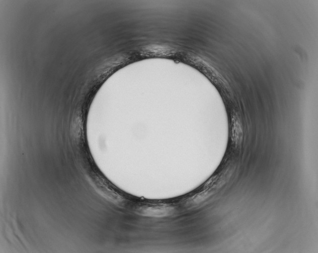 X0000111470459200908241345